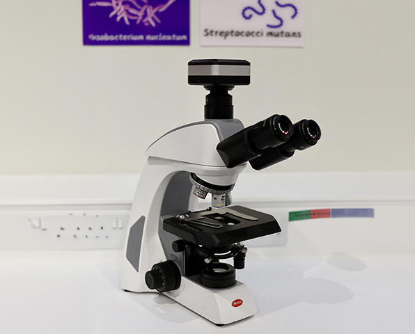 Optimal dental health